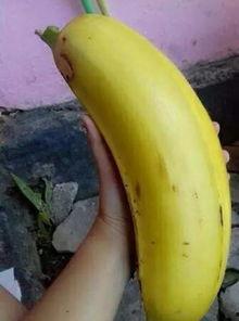 大香蕉国产区,揭秘国产影视产业的魅力与风采 大香蕉国产区,揭秘国产影视产业的魅力与风采