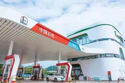 国产资源站,汇聚海量优质资源,助力创新发展 国产资源站,汇聚海量优质资源,助力创新发展